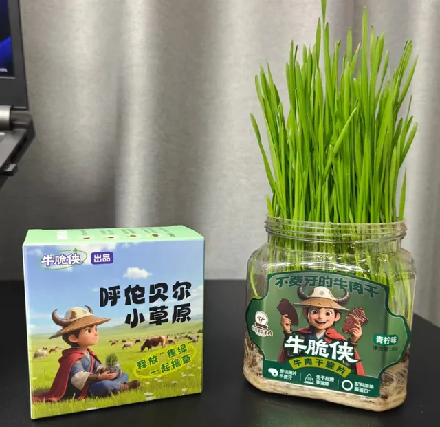 牛脆侠青柠味空罐种出的真实小草原，旁边为种植盒